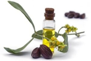 ¡Beneficios del aceite de Jojoba!